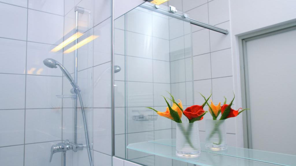 Glasabtrennung der Dusche...